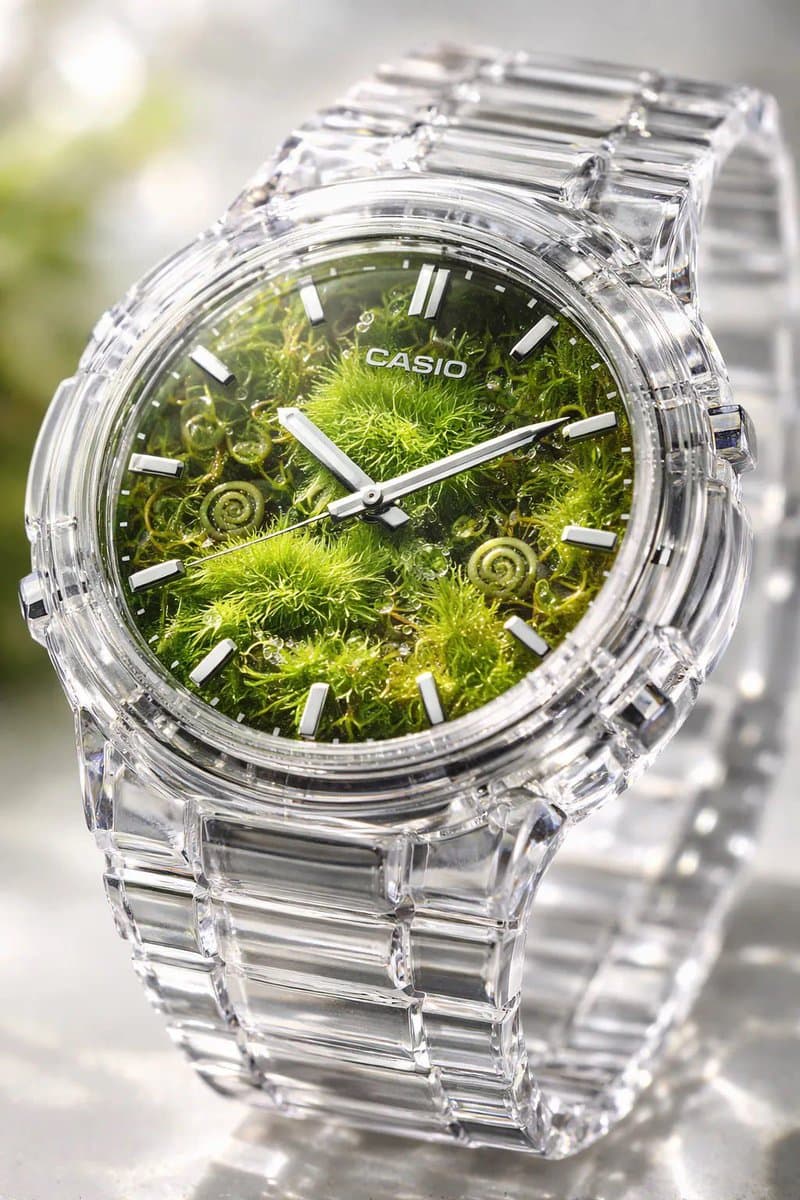 Crystal Terrarium Watch Product Shot — example 2