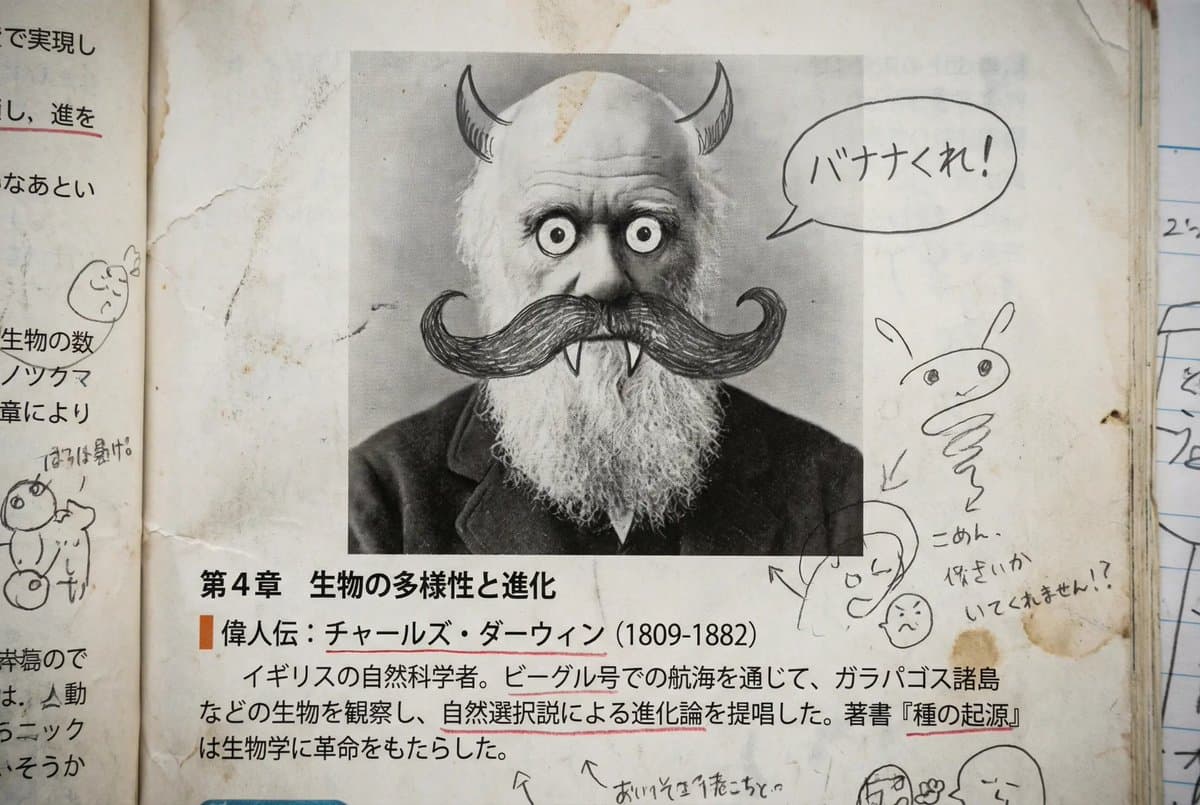 Middle schooler doodles on history textbook pages — example 1